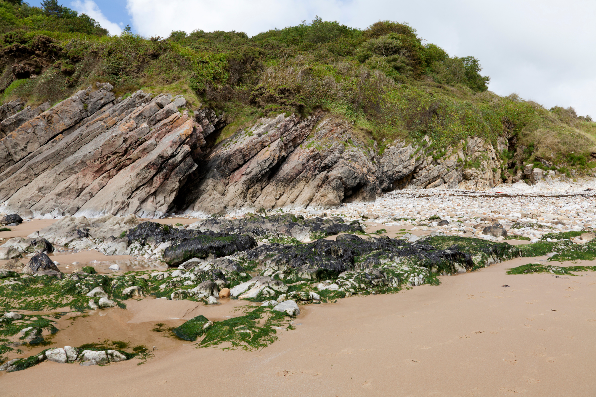 caswell sound (2).webp